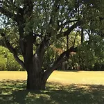 C/ Piscina Próxima Da Villa