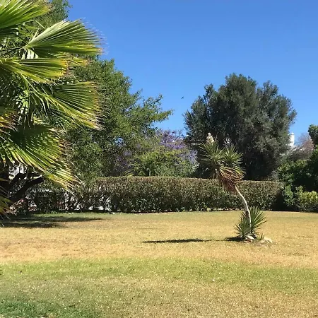 Villa C/ Piscina Proxima Da *