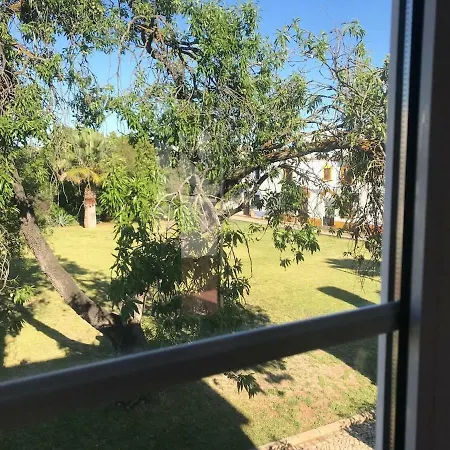 Villa C/ Piscina Proxima Da